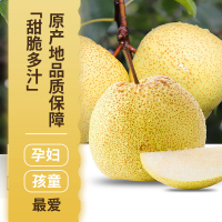 安徽砀山酥梨净重9斤梨子新鲜当季果园直采脆梨水果礼盒装春节年货送礼公司福利