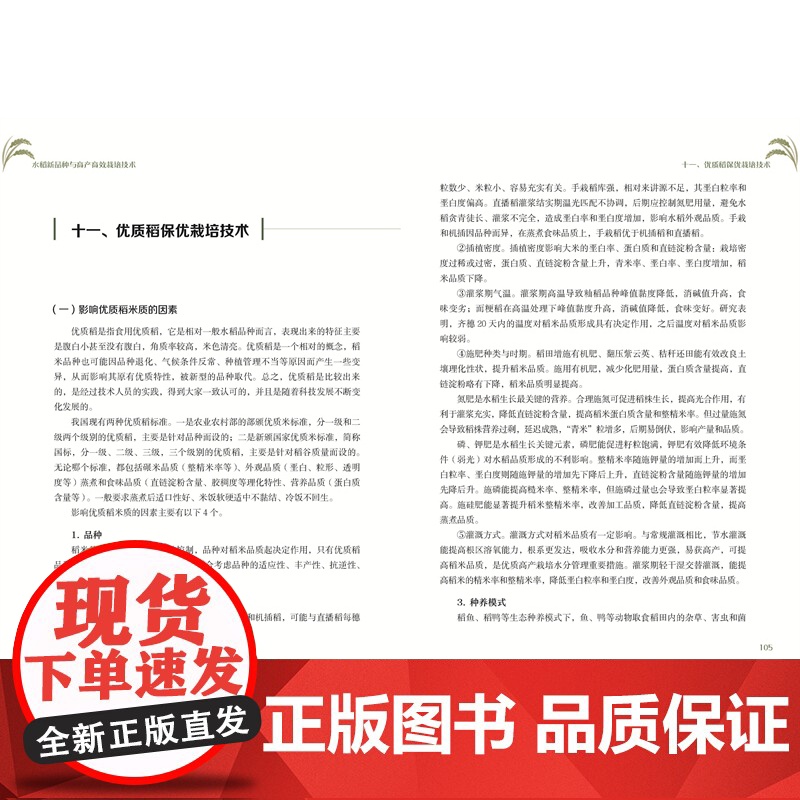 [店]水稻新品种与高产高效栽培技术 农业 水稻 新技术高清大图