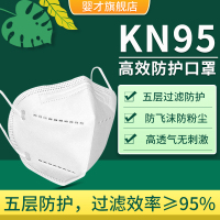 婴才口罩 5层防护KN95口罩 含熔喷布阻挡飞沫 柔化挂耳不勒耳 10个