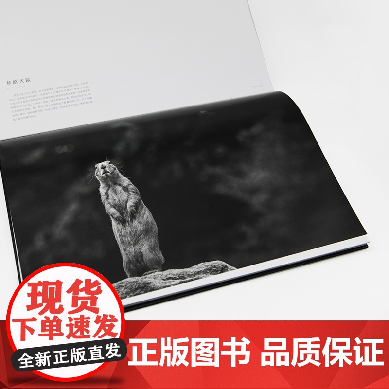 [央视网]第六次物种大灭绝它们即将消逝 9787568074308(法) 阿兰·埃尔努 (Alain Ernoult)高清大图