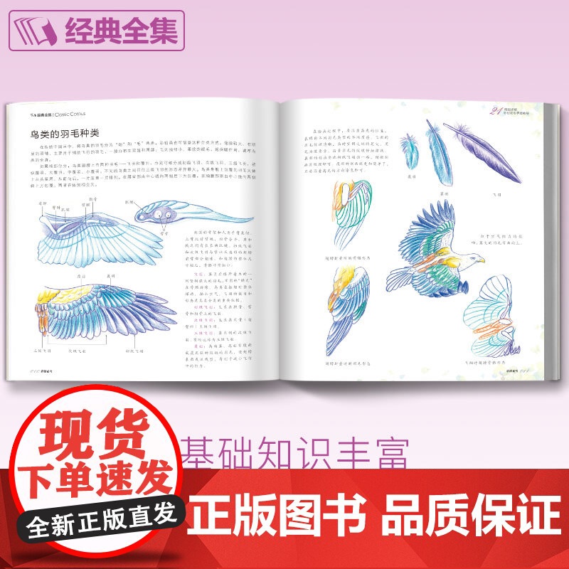 彩铅花鸟高清大图