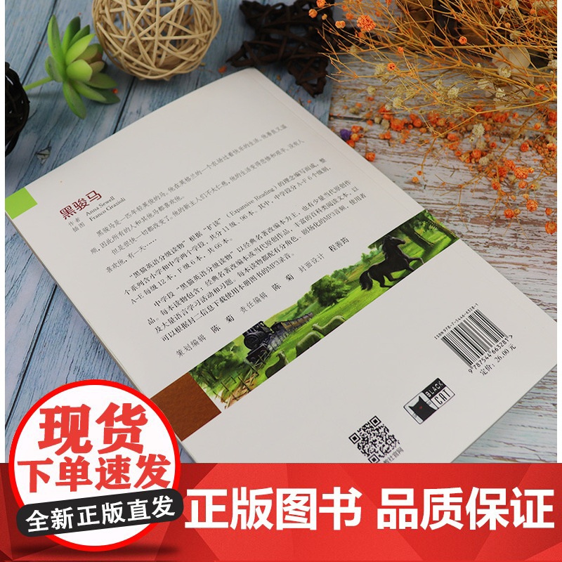黑猫英语分级读物 黑骏马 中学A级1 电子音频 中学生英语分级阅读 初中英语阅读故事书 上海外语教育出版社9787544高清大图