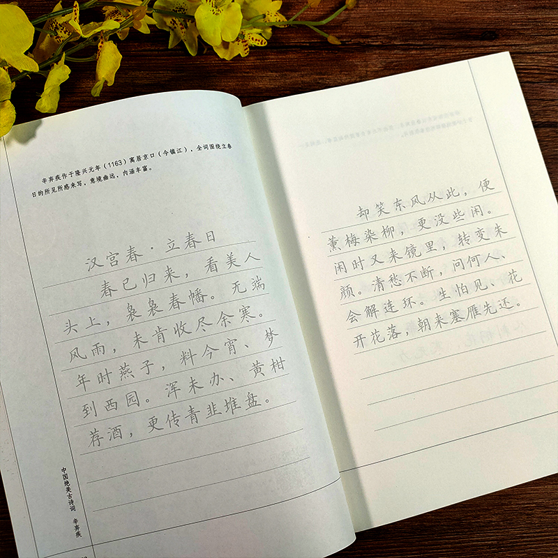 规范楷书硬笔字帖:中国绝美古诗词(杜甫+李白+孟浩然+王维)全4册 [正版]旗舰规范楷书硬笔字帖:辛弃疾 南宋文学家中国高清大图