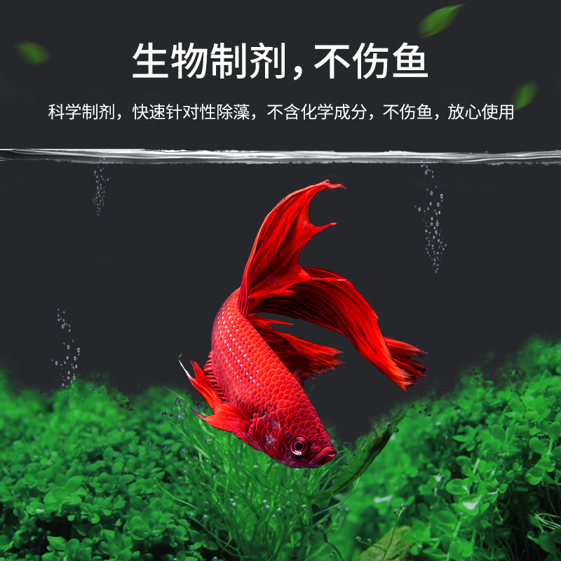 鱼缸除藻剂除青苔不伤鱼去苔剂除绿褐藻丝藻黑毛去藻除绿水除苔素高清大图