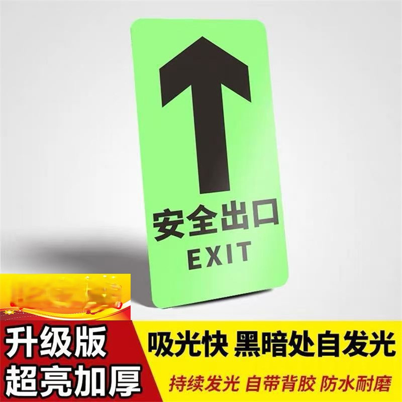 水龙珠(SHUILONGZHU)标识牌自发光pvc箭头耐磨地贴墙贴200*400标识(一包5个装)花色可联系客服选配