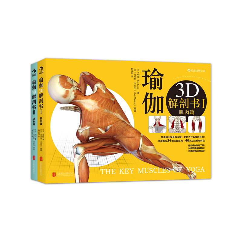 [正版]瑜伽3D解剖书4册套装 艾扬格弟子瑞隆医学科学体式彩色插图分解动作运动健身入门指南