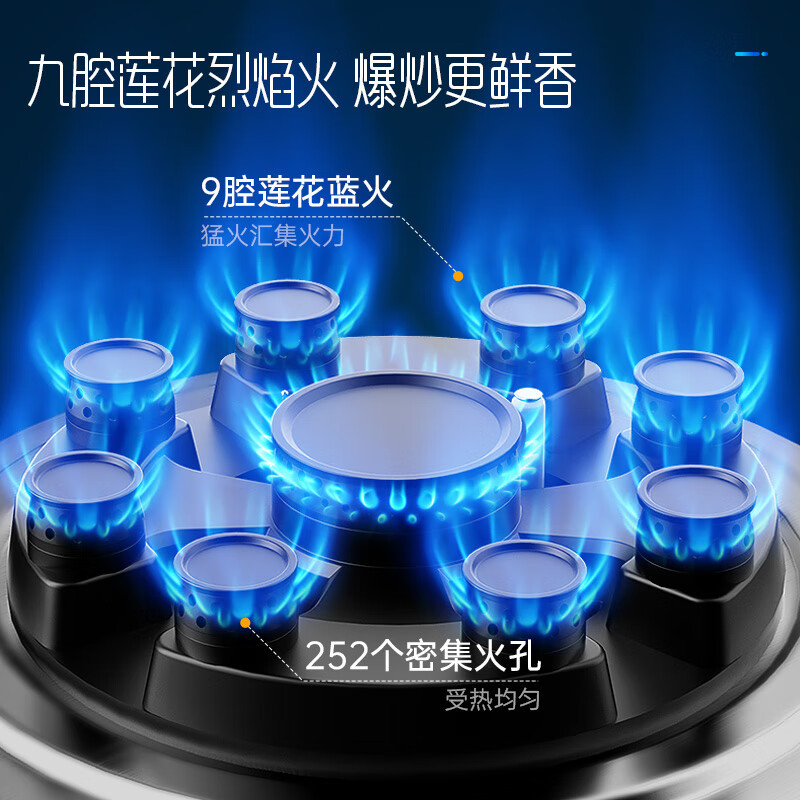创维 燃气灶煤气灶双灶家用 5.0kW九孔聚能猛火鸳鸯灶具 台式/嵌入式 钢化玻璃灶台 Z209B液化气