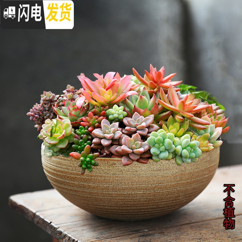 三维工匠粗陶素烧多肉花盆陶瓷花盆透气复古老桩肉盆肉创意植物组合高盆栽 GL(有孔) 大花盆容器