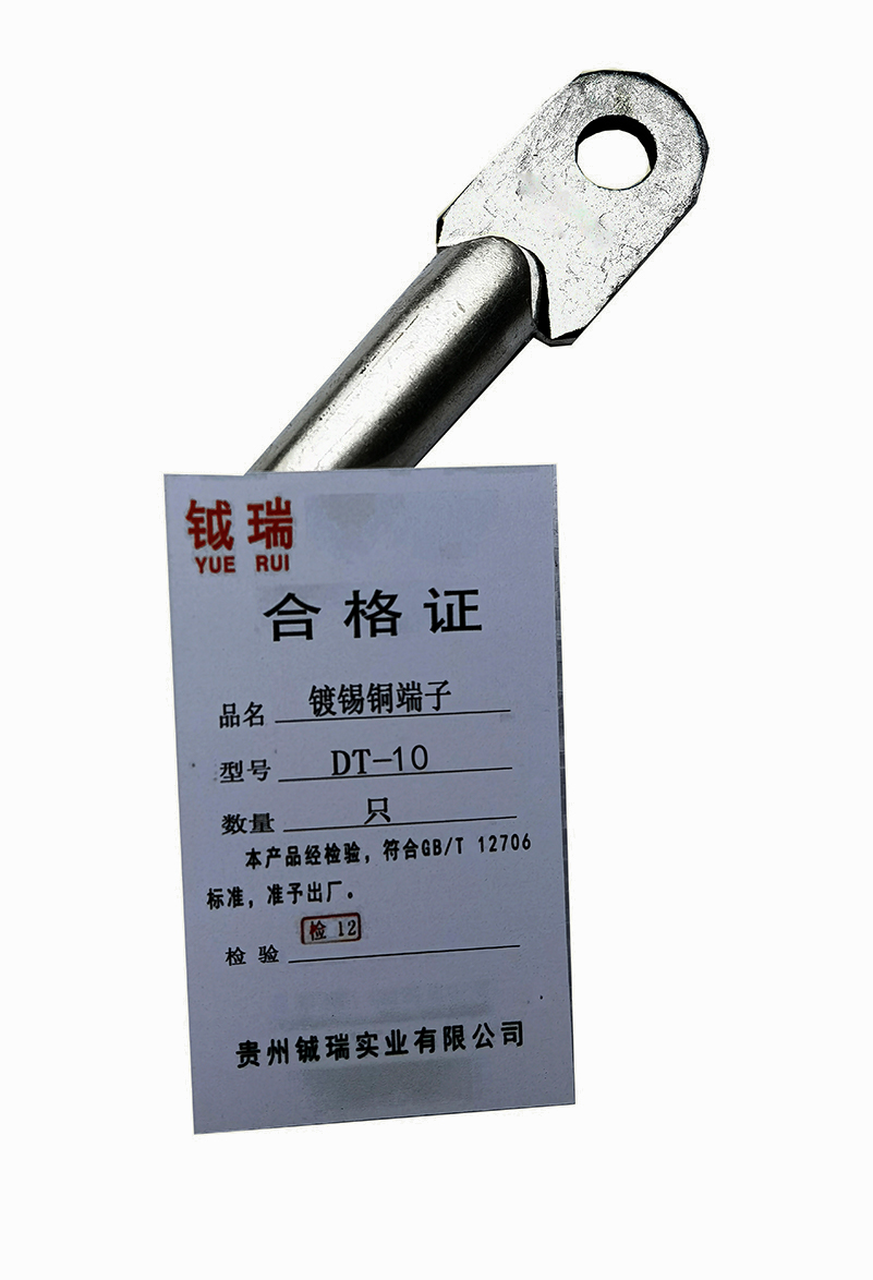 钺瑞镀锡铜端子DT-10/只