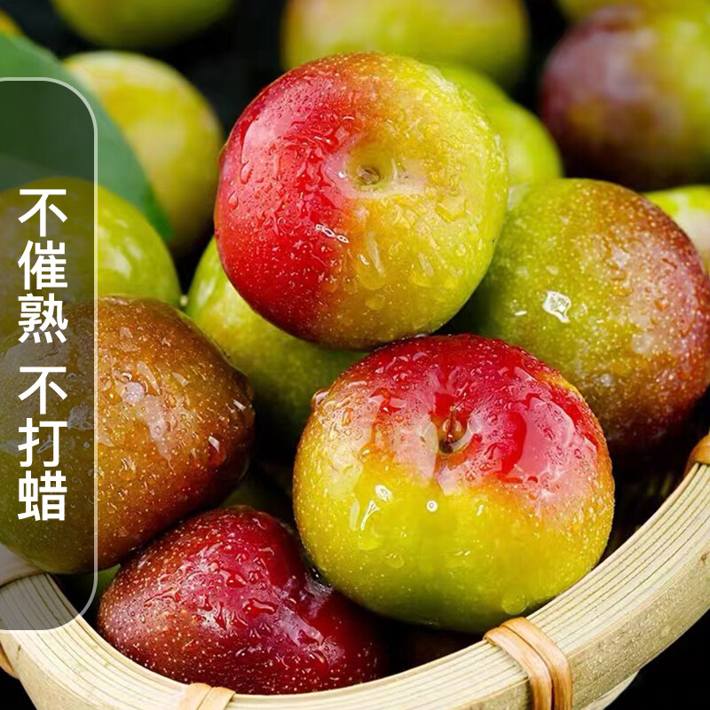 鲜木 四川脆红李 脱骨李子 茵红脱骨李 空心李 半边红李子 青红脆李