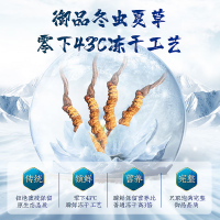 庄民 冬虫夏草 龙凤礼盒装 冻干高洁净 高品质精选 4条/g 优级 层层筛选饱满无断草无空草滋补品10克