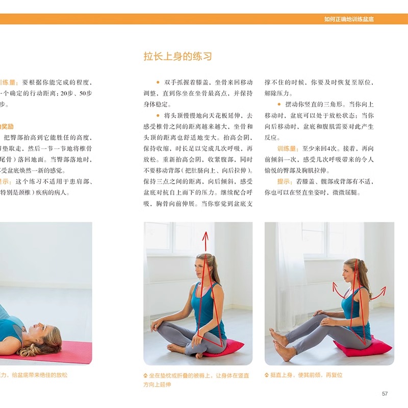 [正版]盆底功能12周康复方案 系统科学的盆底训练方法全书 戴从言李哲女性盆底肌学书籍盆底产后功能修复训练书12周盆底高清大图