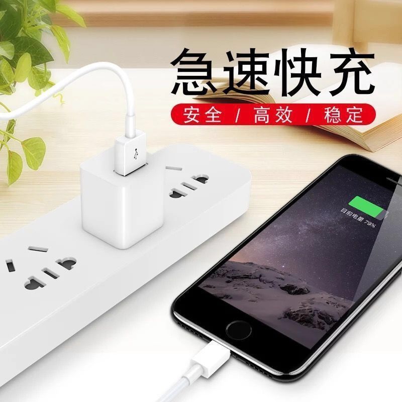 苹果充电器iphonex/5/6s/7/8plus数据线ipad充电头通用快充充电线|1条[1A]数据线 1米