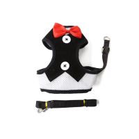 猫咪狗狗牵引绳防挣脱背心式猫咪中型小型犬宠物用品 西装领结 S(2.5-8斤)