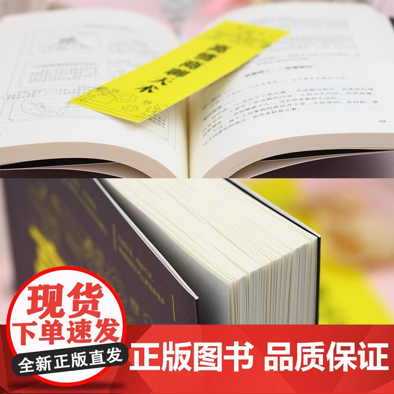 全3册漫画图解回话的技术正版漫画图解即兴演讲书籍高情商聊天术职场人情世故沟通艺术即兴演讲口才提高情商说话技巧书籍高清大图