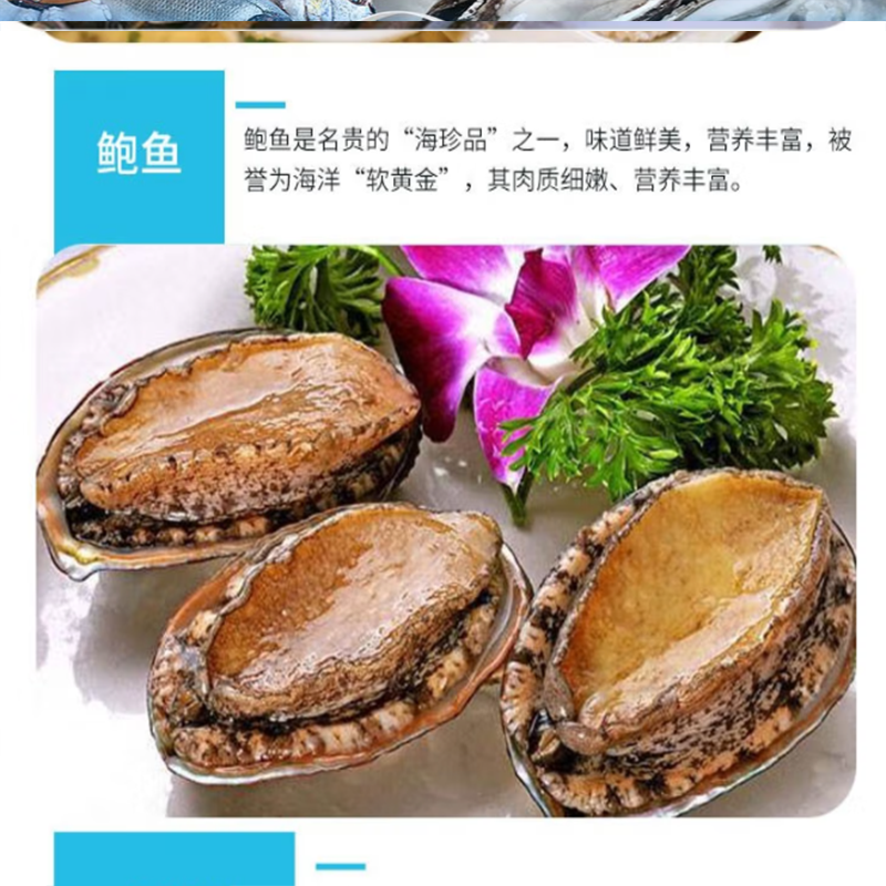 鲜禾鲜 海捕小将国产海鲜礼盒C 甄选美味 新鲜营养 满足你的味蕾 2900g 单盒价高清大图