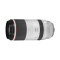佳能(Canon)RF100-500mm F4.5-7.1 L IS USM 超远变焦镜头 RF全画幅微单专用