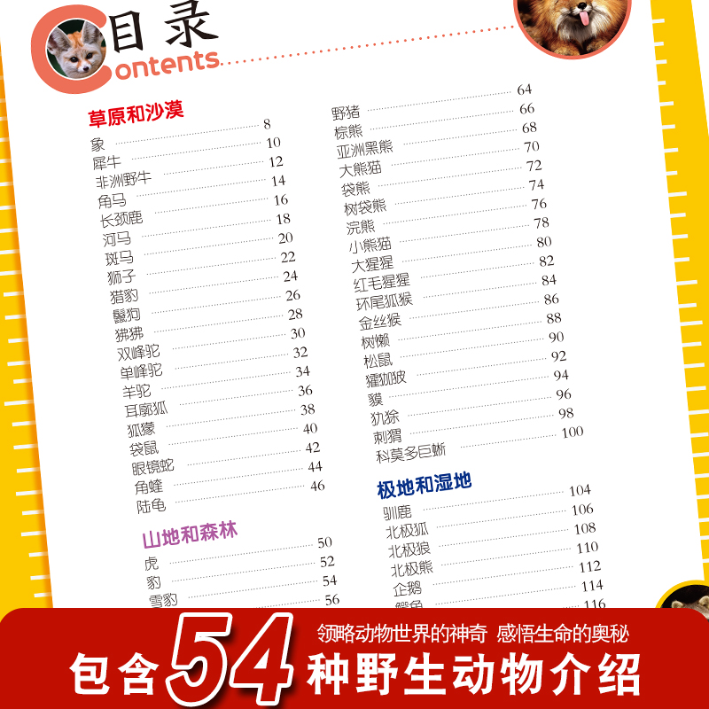 [选3件39元]飞机百科 [正版]动物百科全书幼儿大百科全套注音版科普小百科绘本读物科学启蒙认知幼儿少儿儿童3-6-8-高清大图