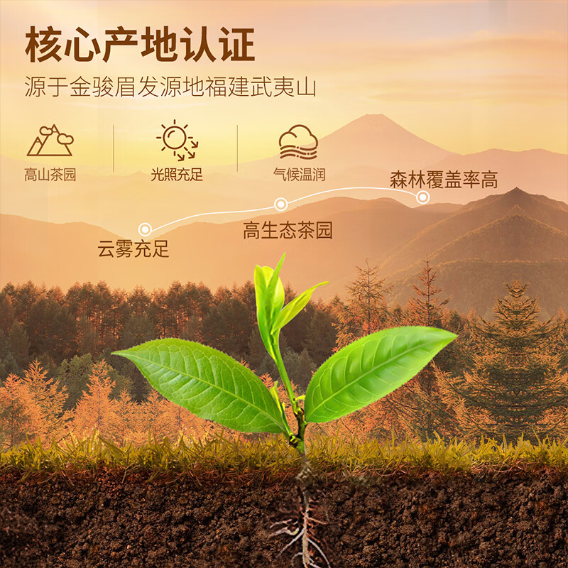 忆江南 特级金骏眉武夷山红茶茶叶礼盒送人300g节日礼品送礼天尊高清大图