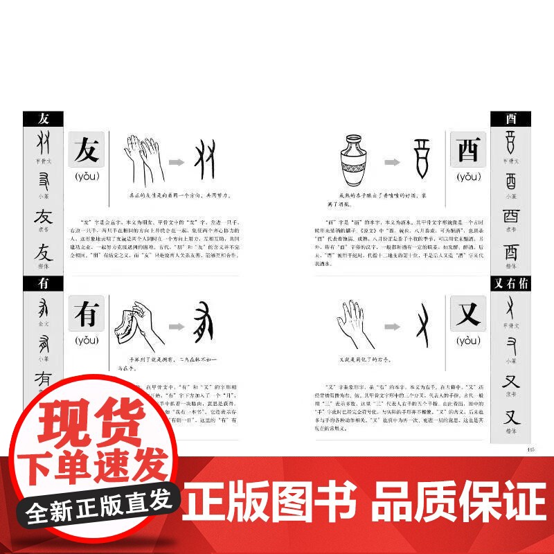 图解说文解字 画说汉字1000个汉字的故事 许慎著 图说展示汉字演变过程语言文字国学书籍 一眼就能看懂汉字的本来意义高清大图