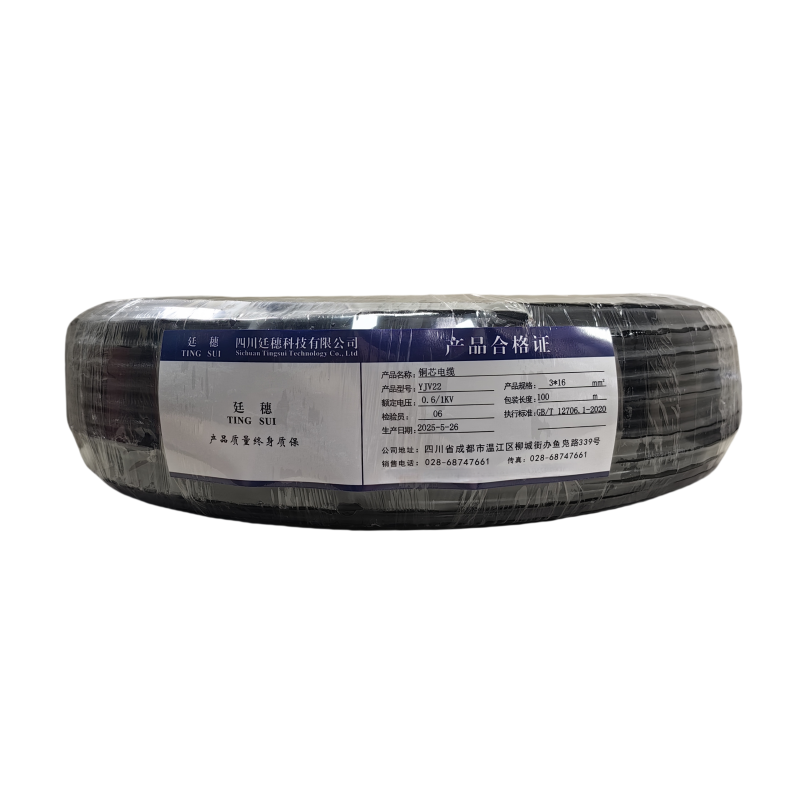 廷穗(TINGSUI)铜芯电缆YJV22-0.6/1KV-3*16米高清大图