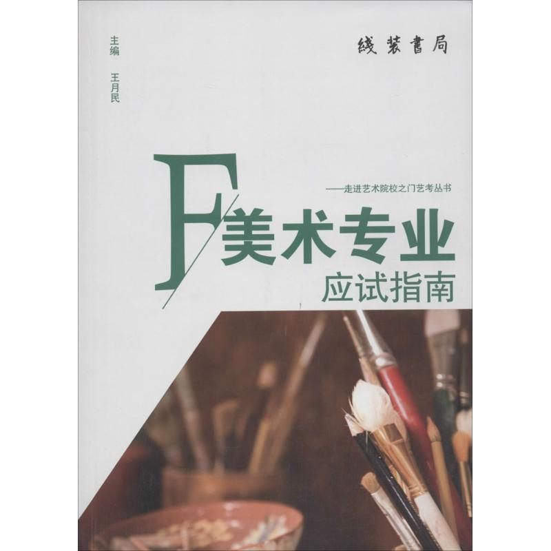 音像美术专业应试指南叶建新 等 编著;王月民 丛书主编