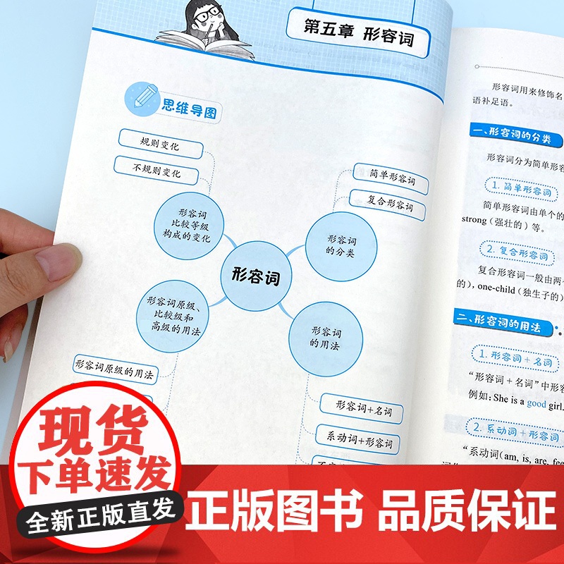 视频讲解]小学英语语法讲解篇练习篇 易蓓小学生英语语法大全1-6年级从入门到精通三四五六年级英语语法专项训练题时态句型人高清大图