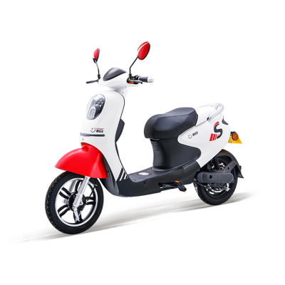 新日电动车 风轻 电瓶车电动车成人代步车优雅女士成人代步车 48V14A 锂电电池 舒适大容量 新日电动车