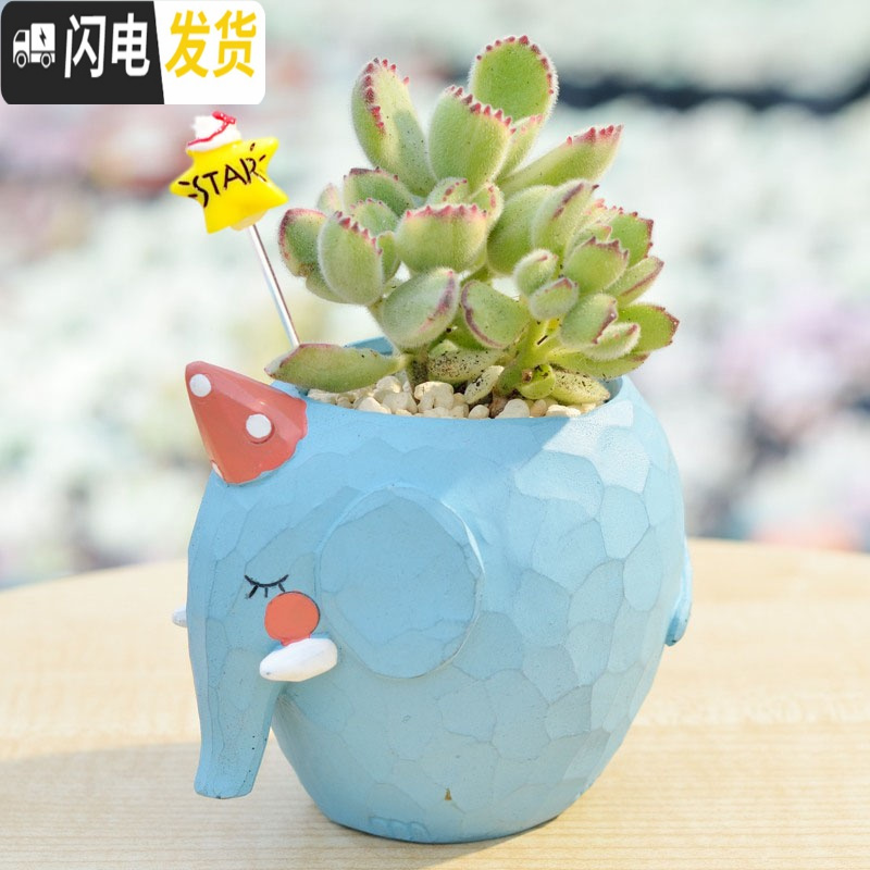 三维工匠zakka田园多肉花盆可爱卡通动物花盆鲸鱼花园派对创意小花盆套餐 粉红色鲸鱼岛樱粉单盆 小花盆容器