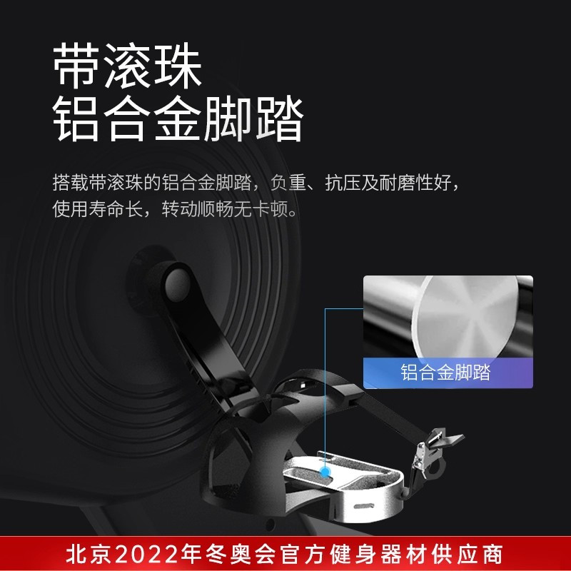 舒华(SHUA)动感单车家用骑行燃脂轻奢运动健身器材室内自行车B599高清大图