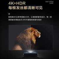 海信(Hisense)旗舰店 75英寸大屏激光电视 护眼 非投影仪 4KHDR 杜比全景音效 75L9D AI智能