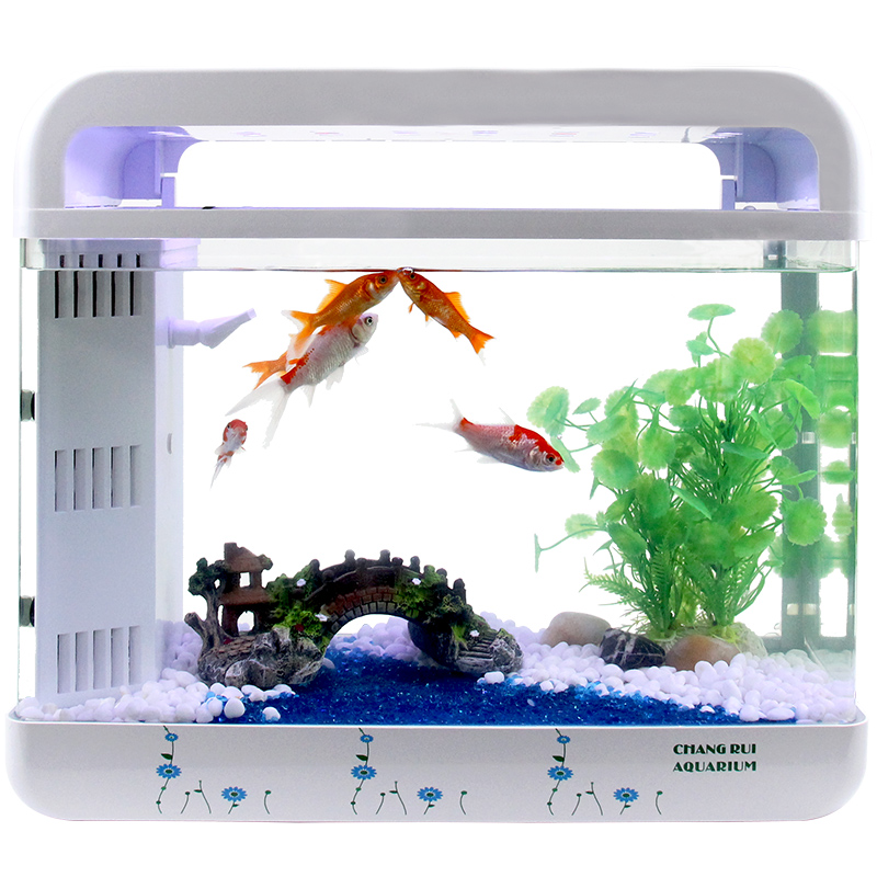 鱼缸水族箱小型玻璃鱼缸迷你生态桌面中型创意客厅方形热带金鱼缸高清大图