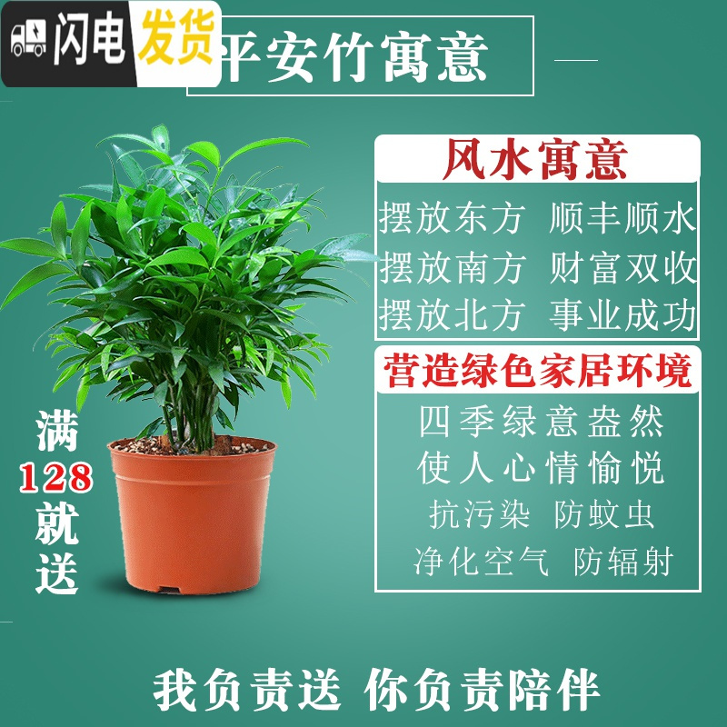 三维工匠蝴蝶兰专用陶瓷花盆家用多肉盆带托盘大号紫砂胎粗陶透气个性艺术 (蝴蝶兰专用)[套组]翡翠961花盆 中等花盆容器