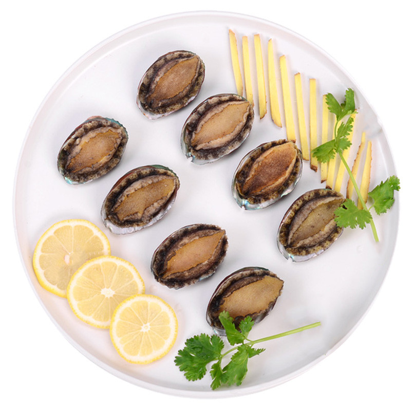 渔鲜世海 活冻鲍鱼200g 盒装8只 星级厨房食材