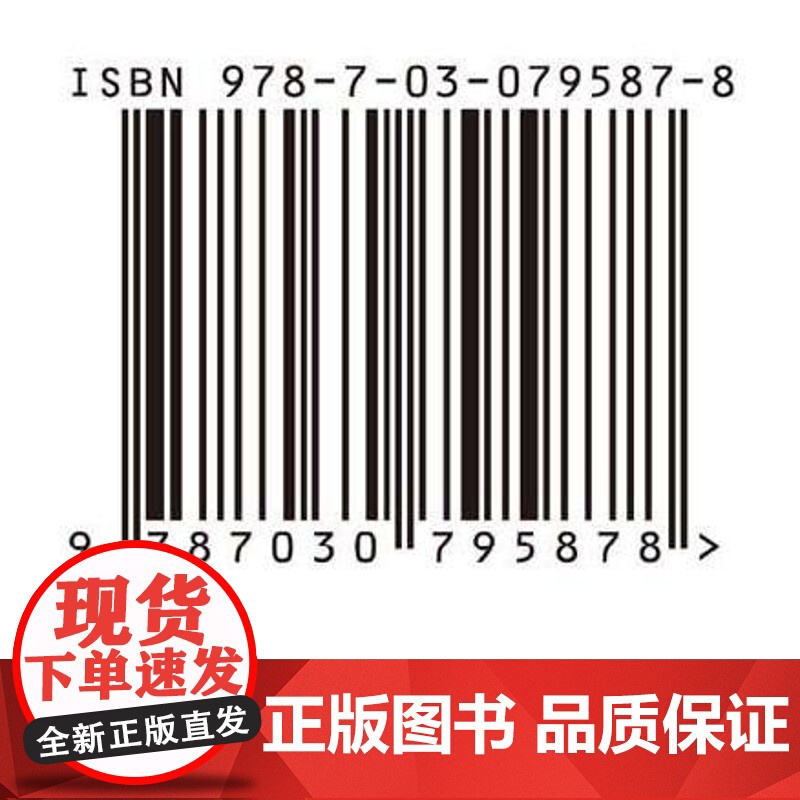 工程数学问题求解算法及应用高清大图