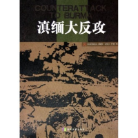 正版新书]滇缅大反攻盛振华9787533644536