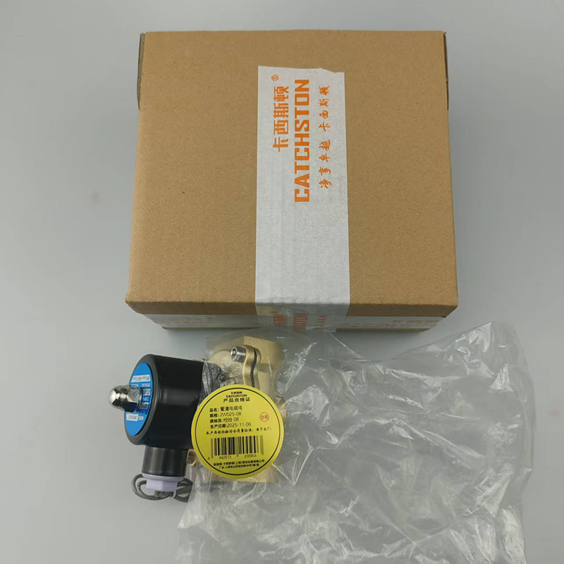 卡西斯顿 管道电磁阀 2W025-08 个高清大图