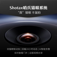 德施曼(DESMAN) 麒麟R9 智能门锁 人脸掌静脉识别 可视猫眼双屏Ai智能管家锁