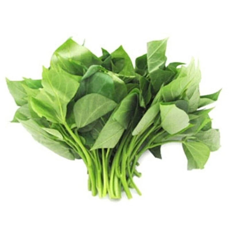 现摘红薯叶地瓜叶苕尖红薯尖时令蔬菜15kg可开发票