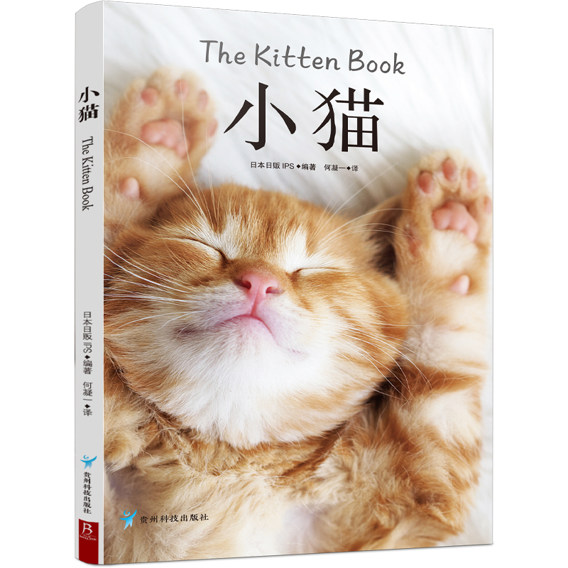 醉染图书小猫9787553209760高清大图