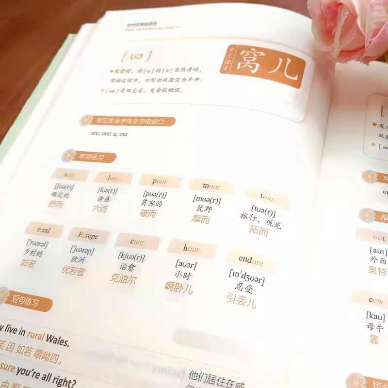 [入门英语]会中文就会说英语+零基础学英语入门 [正版]会中文就会说英语的书英文日语韩语 零基础入门新标准日本语背单词神高清大图