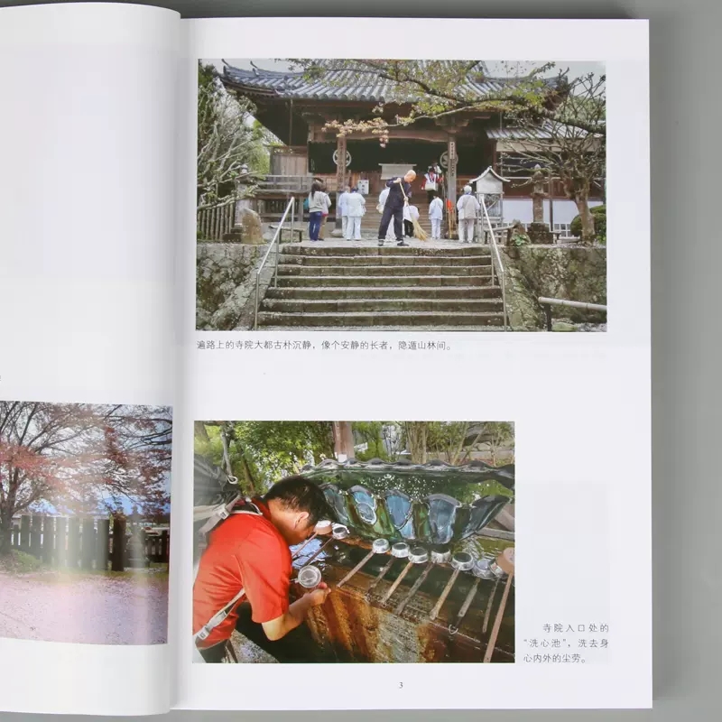 [正版]李辛新作 精神健康讲记 一个中医眼中的心身调适与精神发展 讲家庭环境对儿童身心 儿童健康讲记经典中医启蒙到本高清大图
