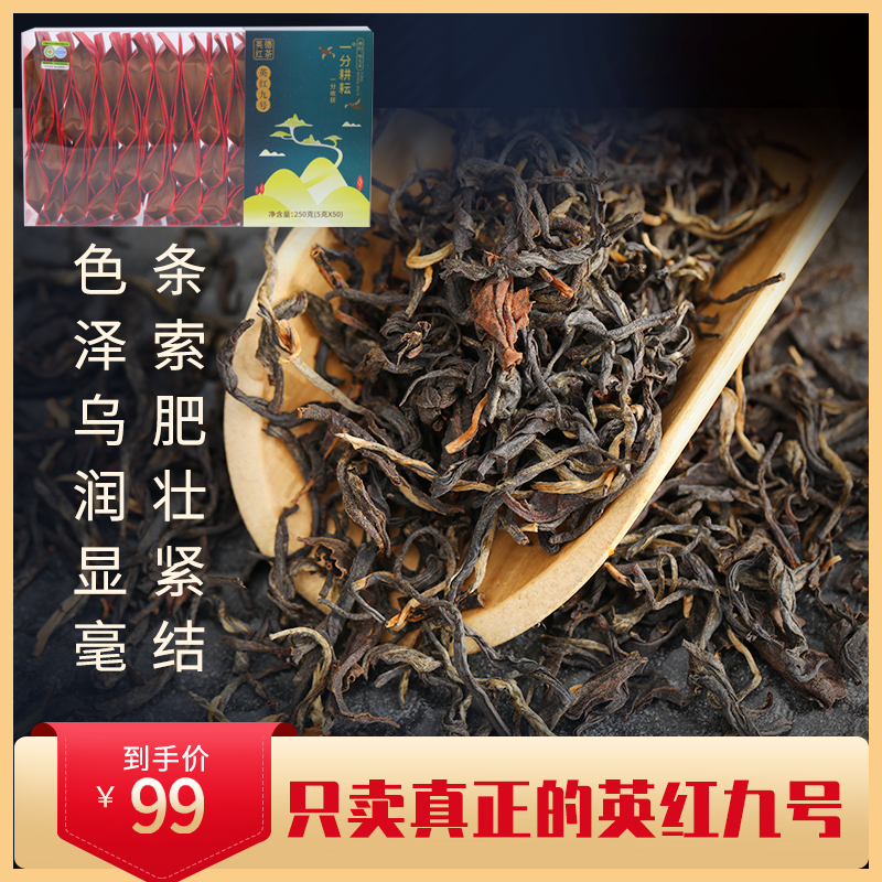 一分耕耘 燕归头采茶有机红茶 明前英德红茶顺滑甘甜1959英红九号高山茶叶 一芽二叶