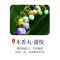 古风随身香囊球木香丸熏香香球吊坠随身佩戴香丸驱蚊挂件随身薰香 迷恋[4颗] 木香丸