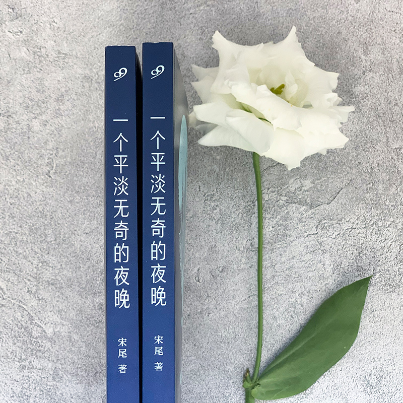 醉染图书一个平淡无奇的夜晚 中国短经典9787020174317高清大图