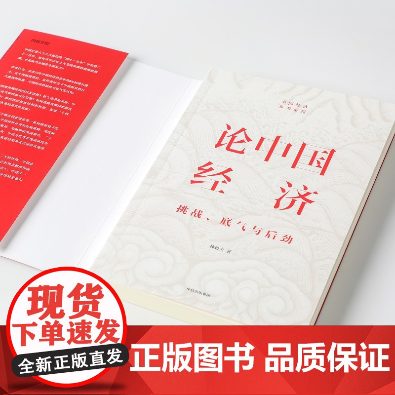 论中国经济:挑战、底气与后劲 林毅夫 著 中信出版社 突破瓶颈与障碍 打通淤点堵点 实现中国经济的高质量发展高清大图
