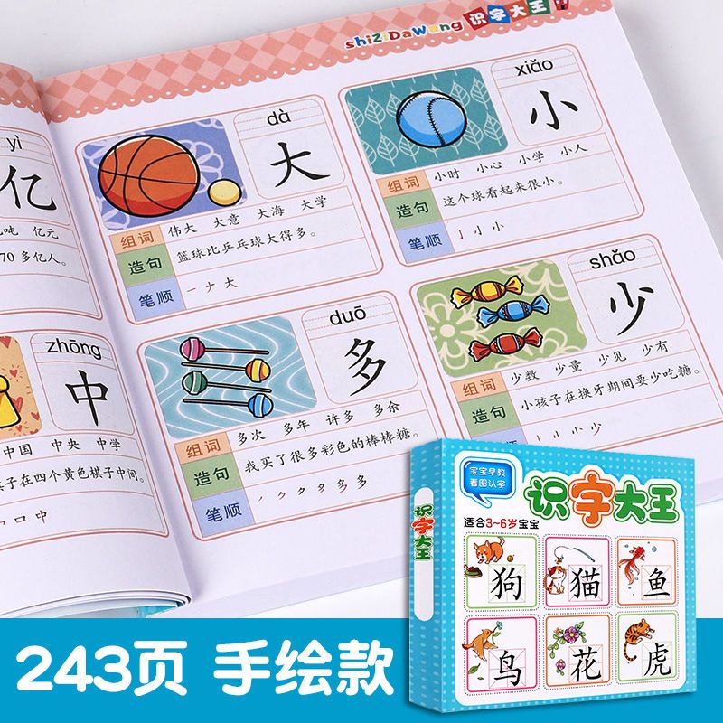 学前识字书看图认字笔顺幼儿童宝宝早教书籍学前班大班幼儿园教材 识字大王848字