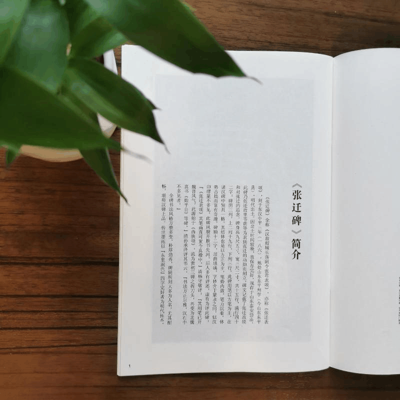 醉染图书张迁碑9787807259640图片