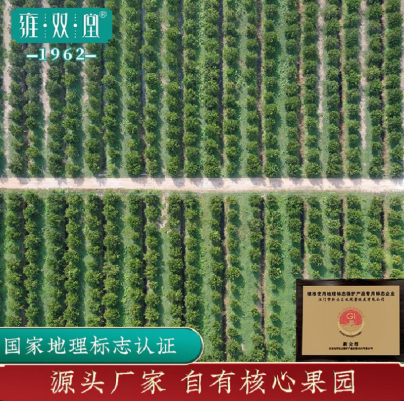 雍双堂 中国色故宫美文创礼盒5年新会陈皮+小青柑普洱茶+柑胎广东特产 177克 春组合礼盒 ZGS-5024高清大图