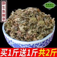 【买1送1】鱼腥 鱼腥干新鲜折耳根鱼心正品泡茶鱼腥茶